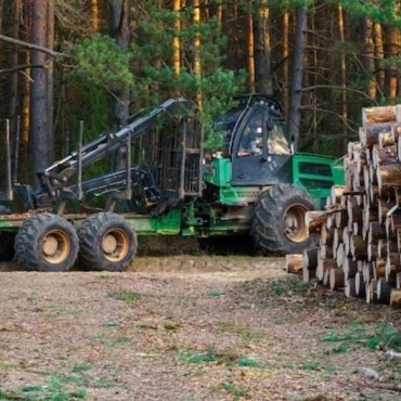 Forwarder em Abreu e Lima