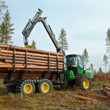 Florestal em Abreu e Lima