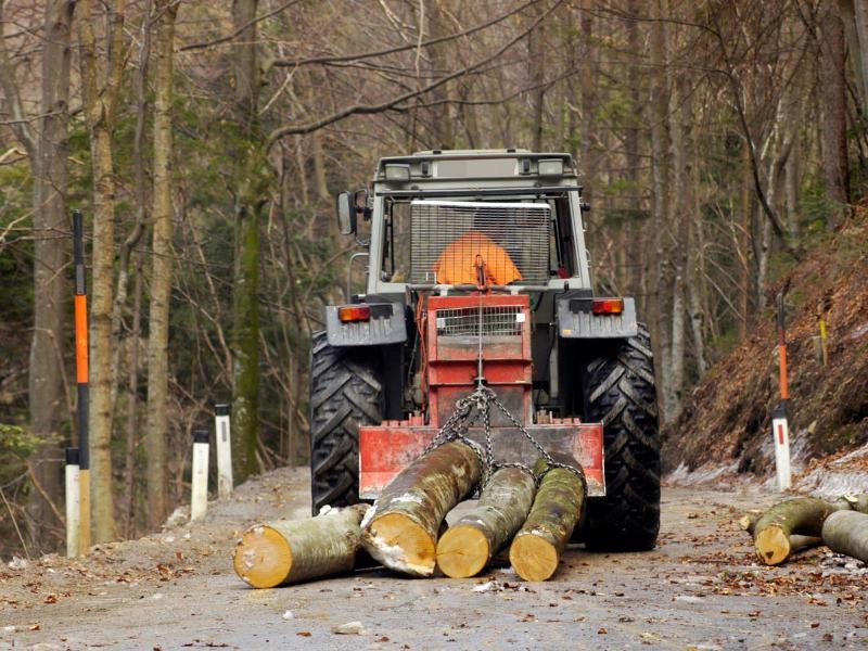 Manutenção de Conversor de Torque para Forwarder